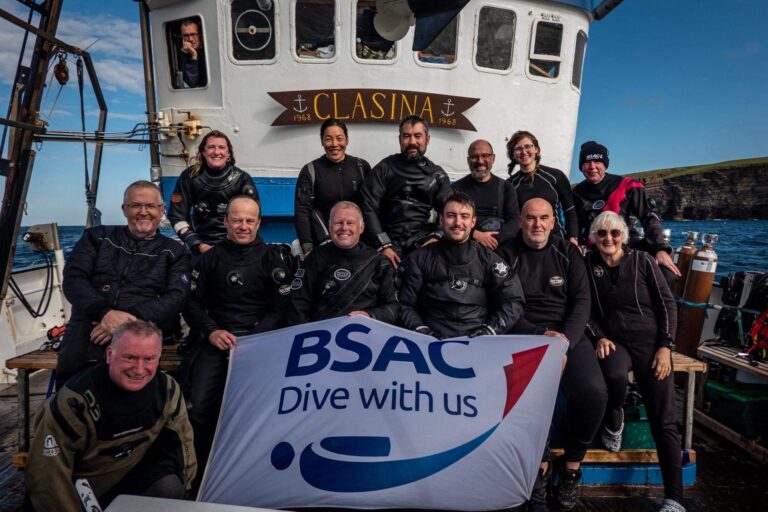 The Dive Team