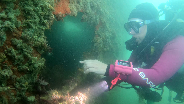 Read more about the article Solent Oyster July and August 2022