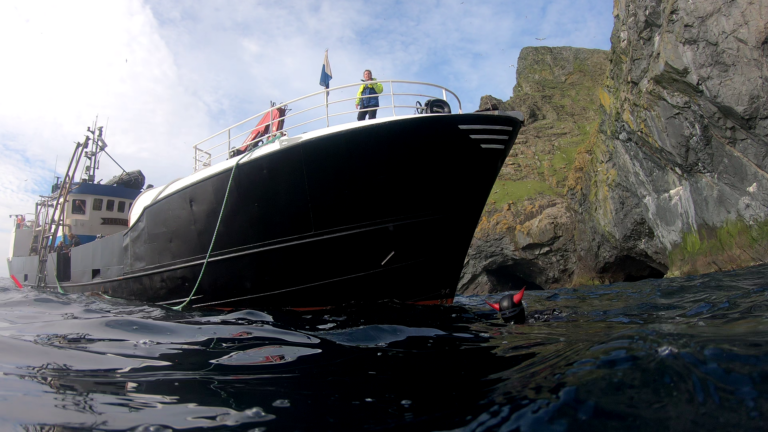 Dive at Borerary