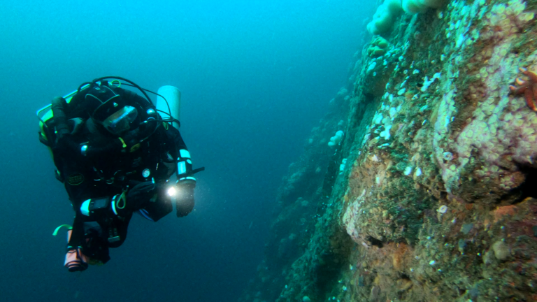 Stac Lee Wall Dive