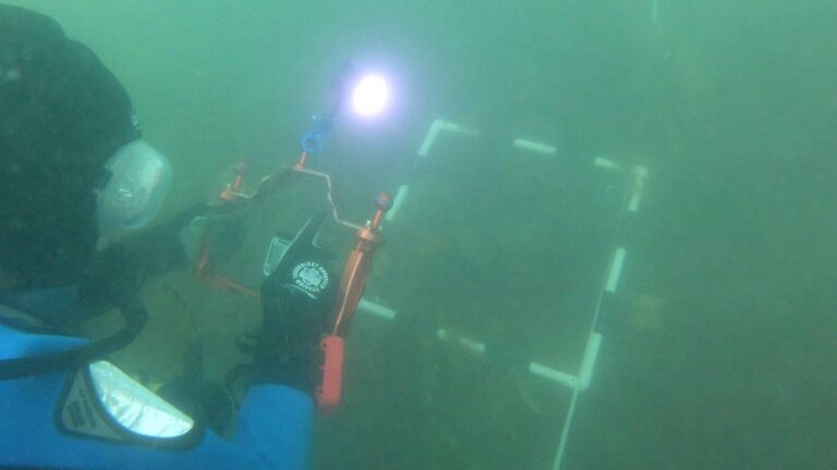 Transect survey with photograph of quadrat