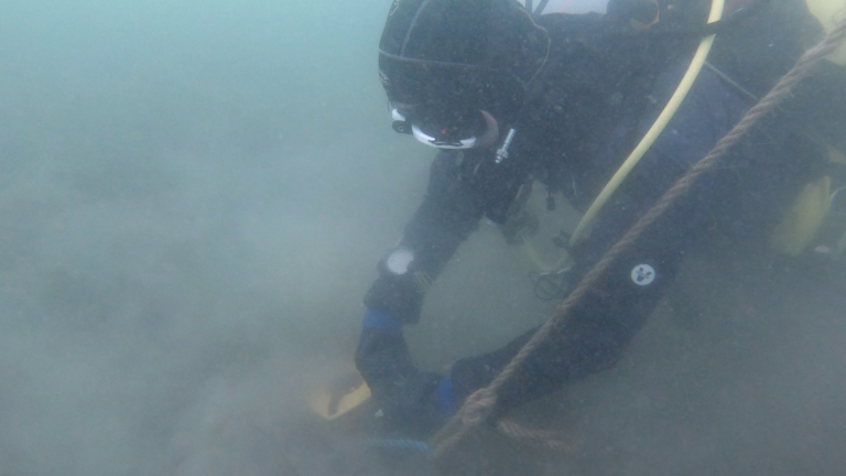 Setting up a datum line