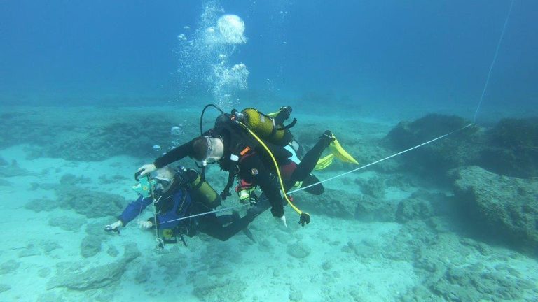 Nepture Grass Survey in Cyprus