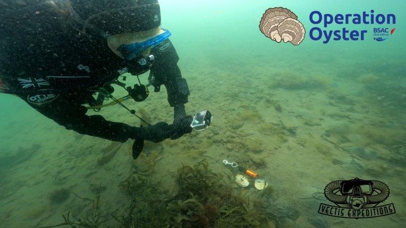 Read more about the article Orkney Oysters – March 2025