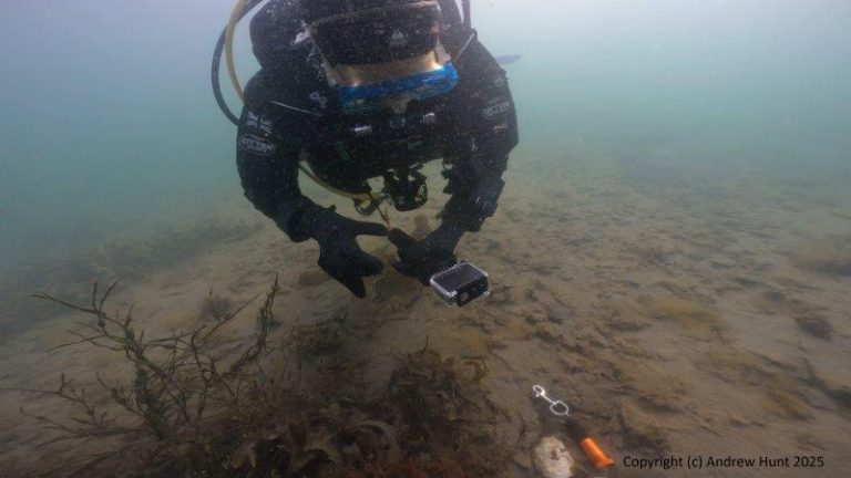 Finding and recording oyster shells