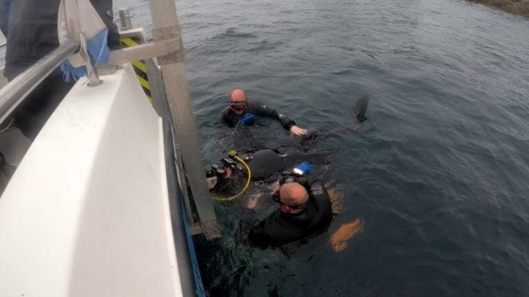 Rescue drill