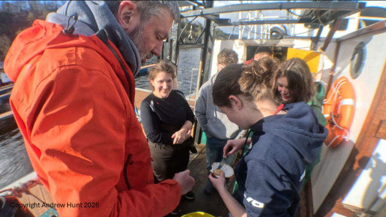 Lesson in anatomy of a scallop