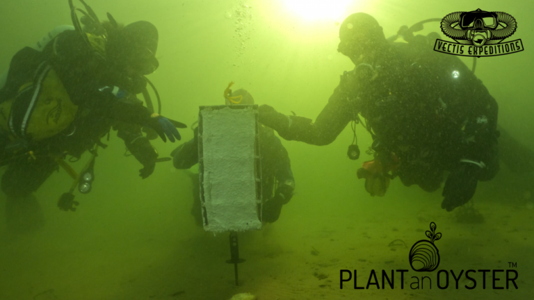 Trial oyster pod planted