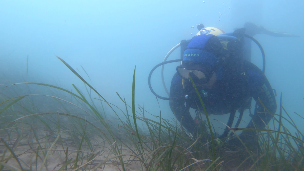 Luke looking for oysters
